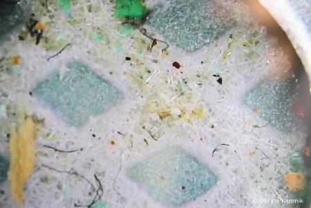 Izvirska Živa voda (12)